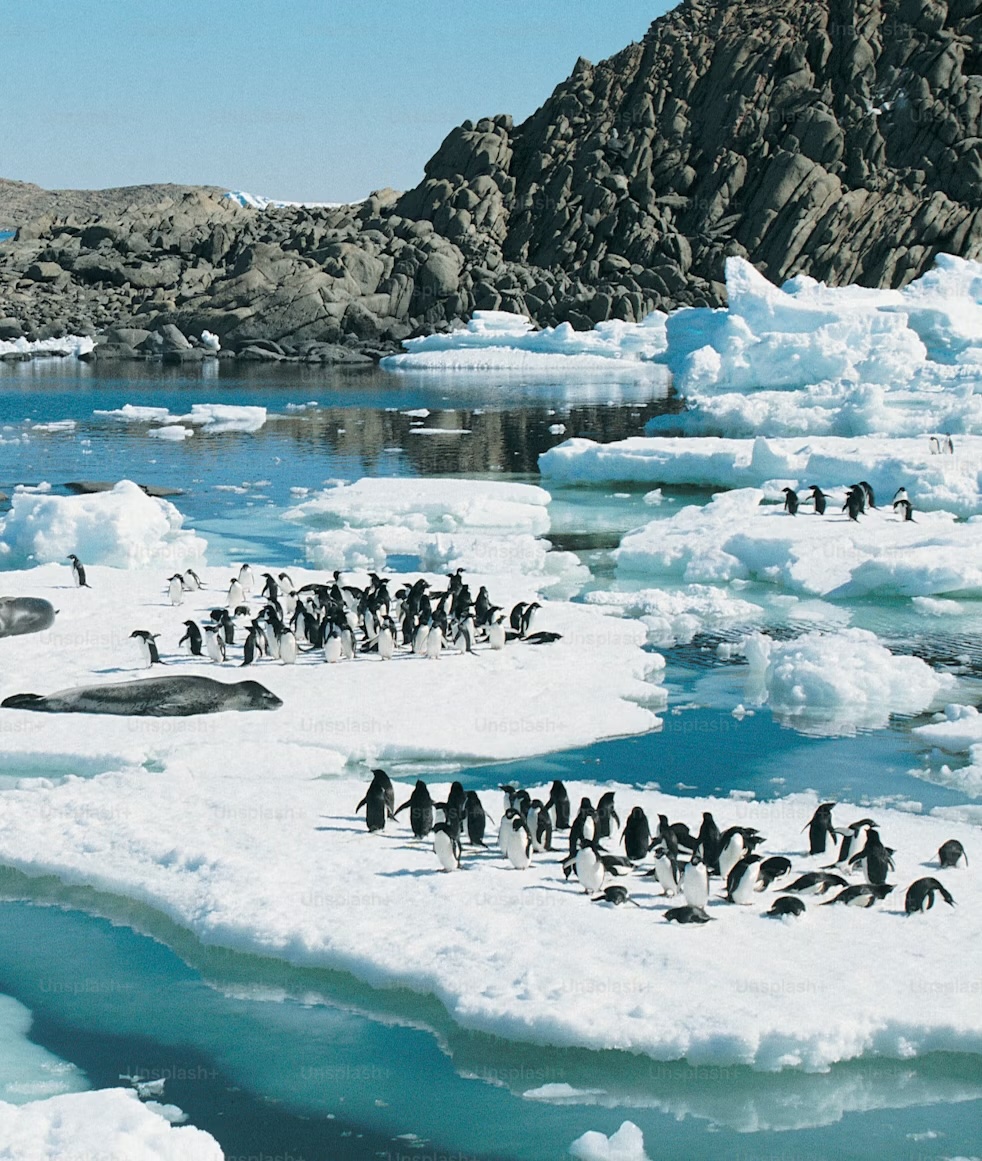 Antarctic travels