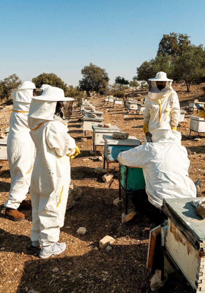 beekeeping in jordan