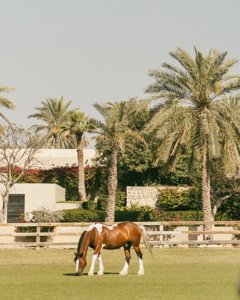 melia desert palm dubai
