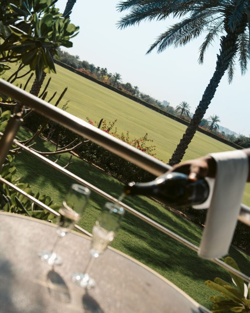 views onto the polo fields